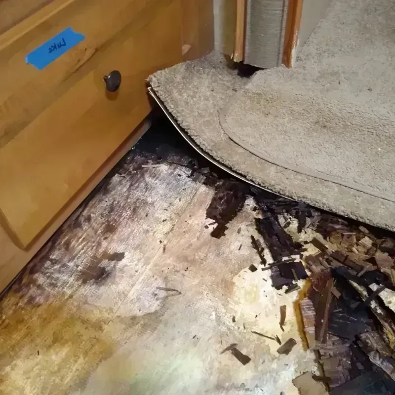 Wood Floor Water Damage in Henrico County, VA